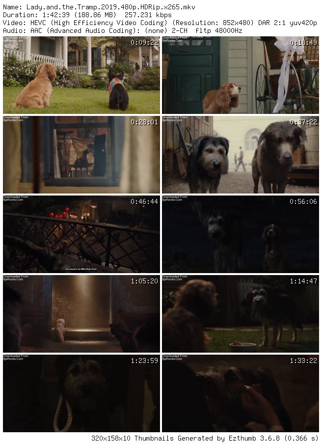 Lady and the Tramp (2019)