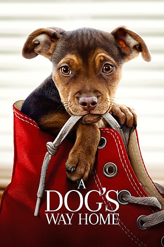 dogs-way-home-2019